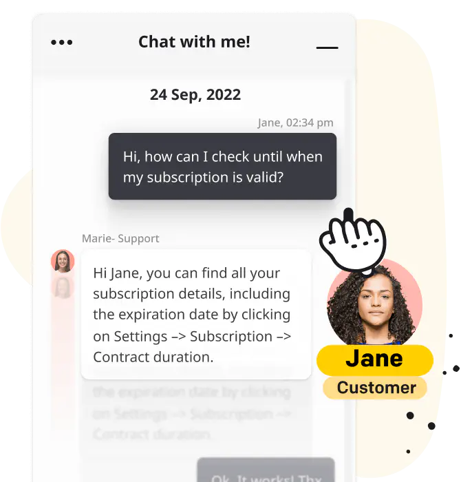 Visualization of website's Live Chat widget with a conversation between customer and support agent and a chat history